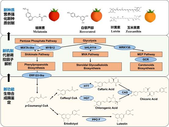 图示描述已自动生成